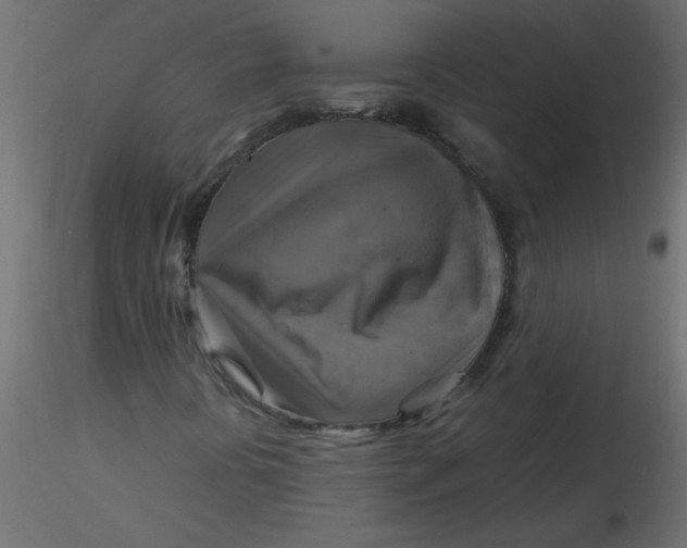 X0000116591394200912312026