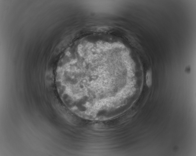 X0000116591395200912312026