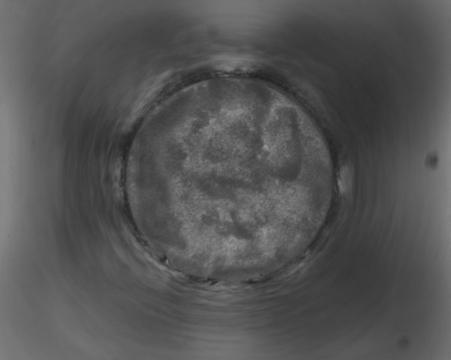 X0000116591396200912312026