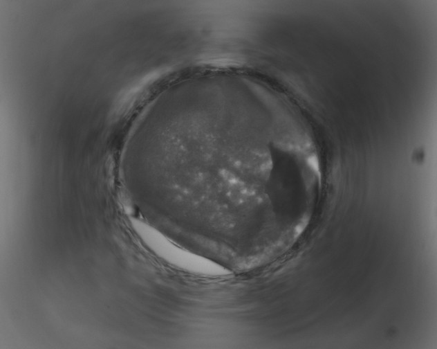 X0000116591398200912312026