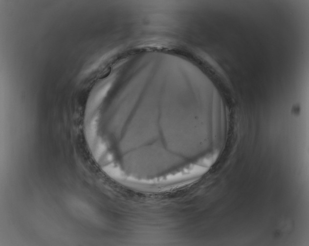 X0000116591399200912312026