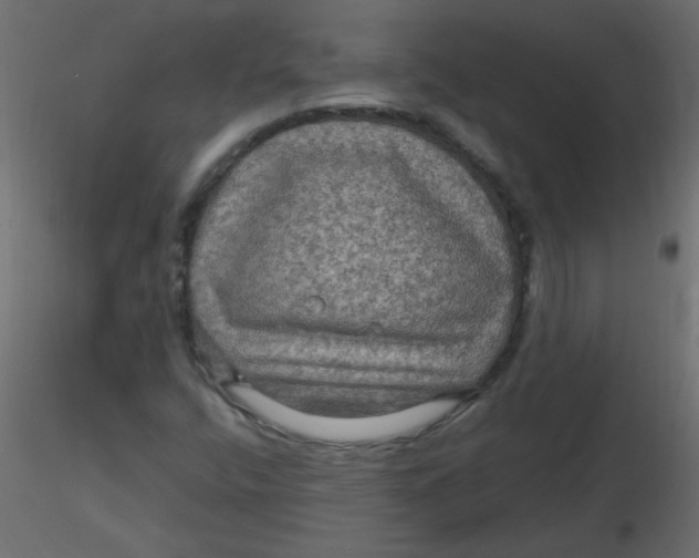 X0000116591400200912312026