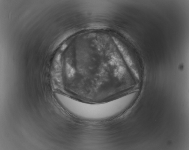 X0000116591401200912312026