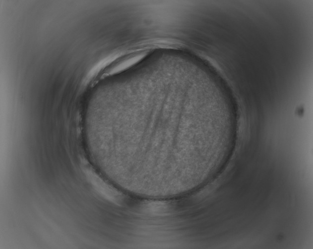 X0000116591402200912312026