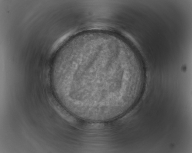 X0000116591403200912312026