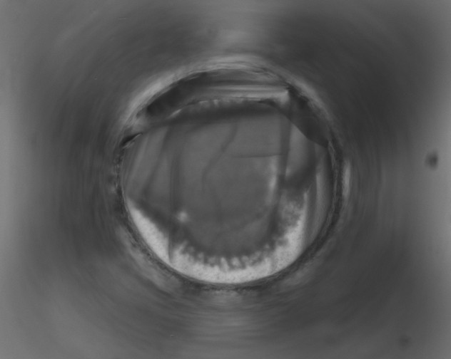 X0000116591405200912312026