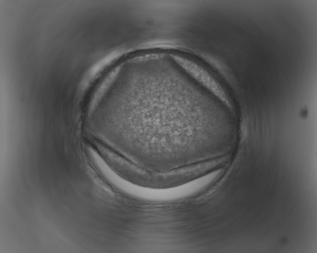 X0000116591406200912312026