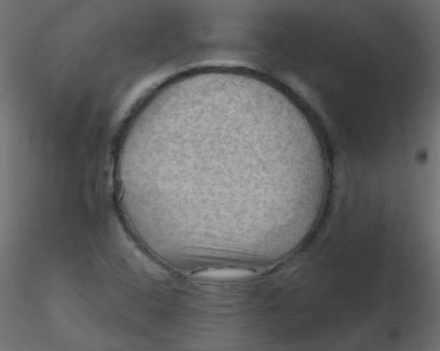 X0000116591408200912312026