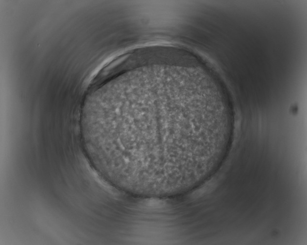 X0000116591409200912312026