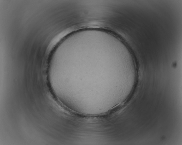 X0000116591410200912312026