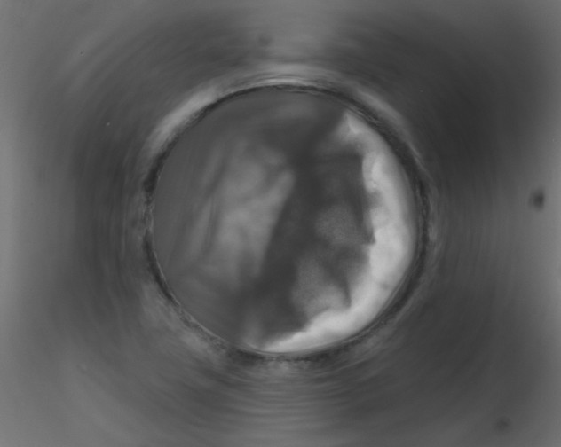 X0000116591411200912312026