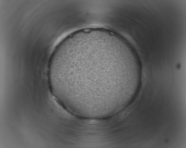 X0000116591412200912312026