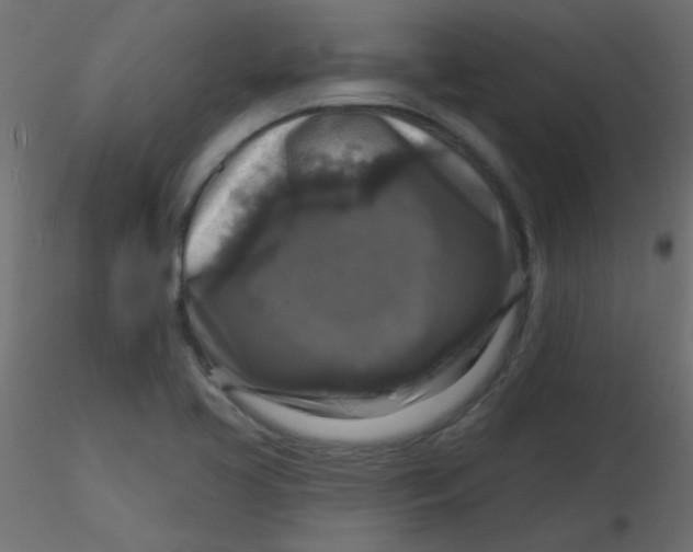 X0000116591413200912312026