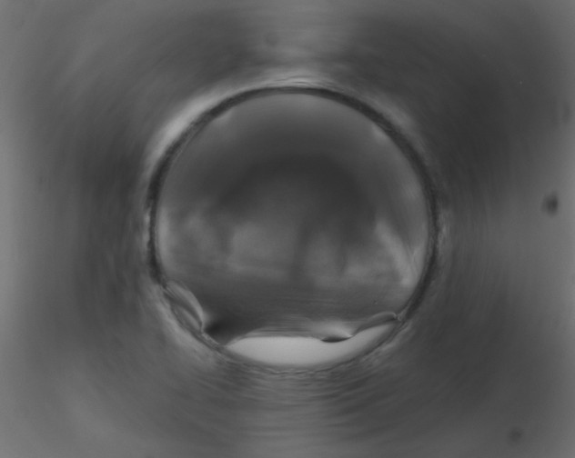 X0000116591414200912312026