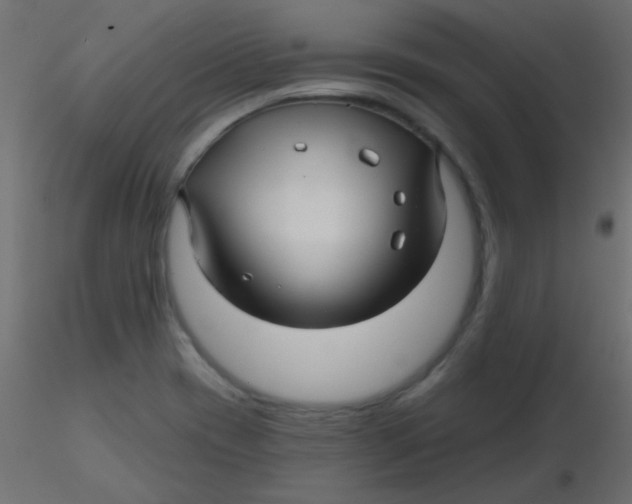 X0000116591417200912312026