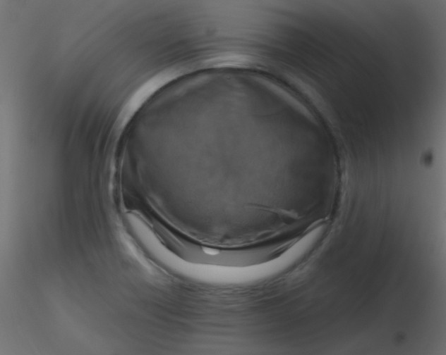 X0000116591418200912312026