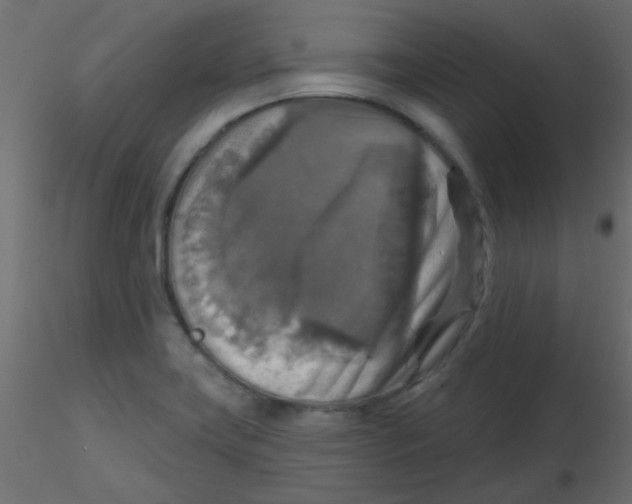 X0000116591419200912312026