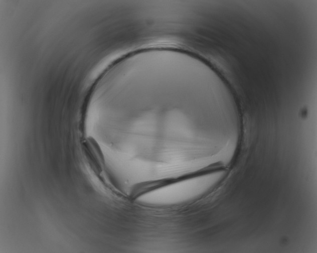 X0000116591422200912312026