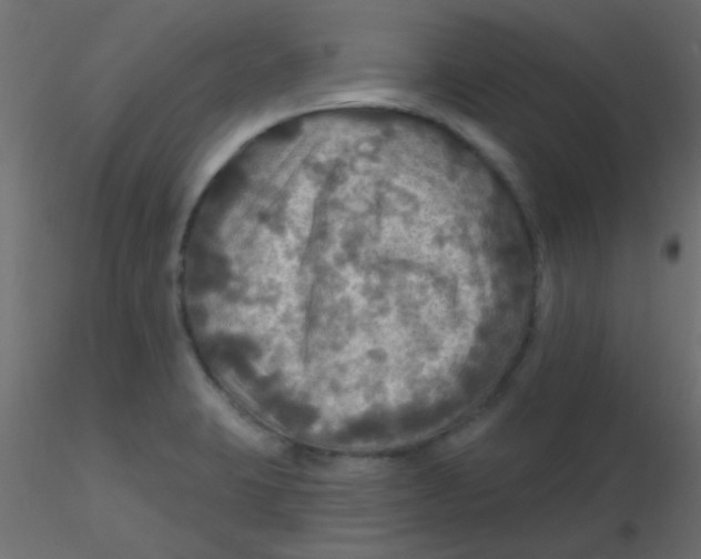 X0000116591423200912312026