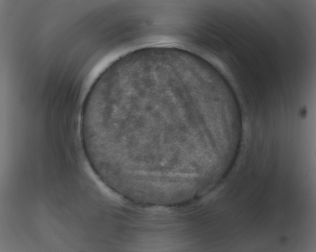 X0000116591424200912312027