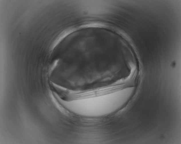 X0000116591425200912312027