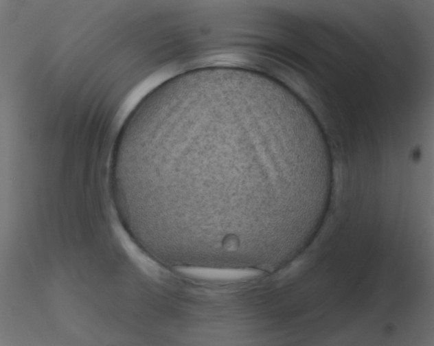 X0000116591426200912312027