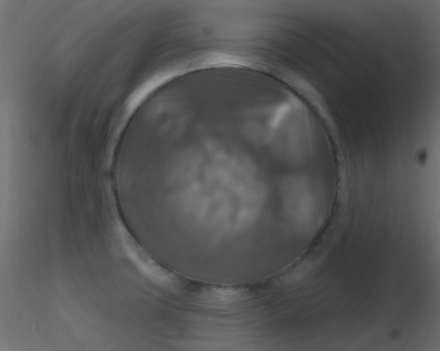 X0000116591427200912312027