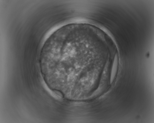 X0000116591429200912312027