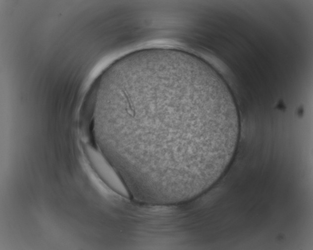 X0000116591430200912312027