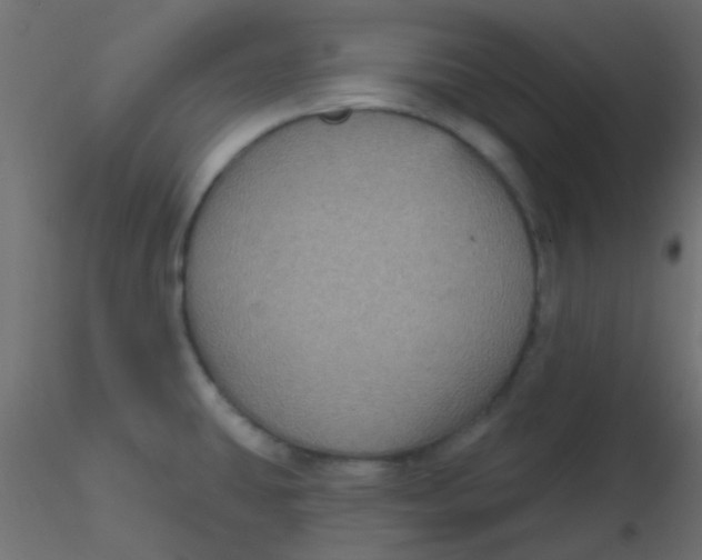 X0000116591431200912312027