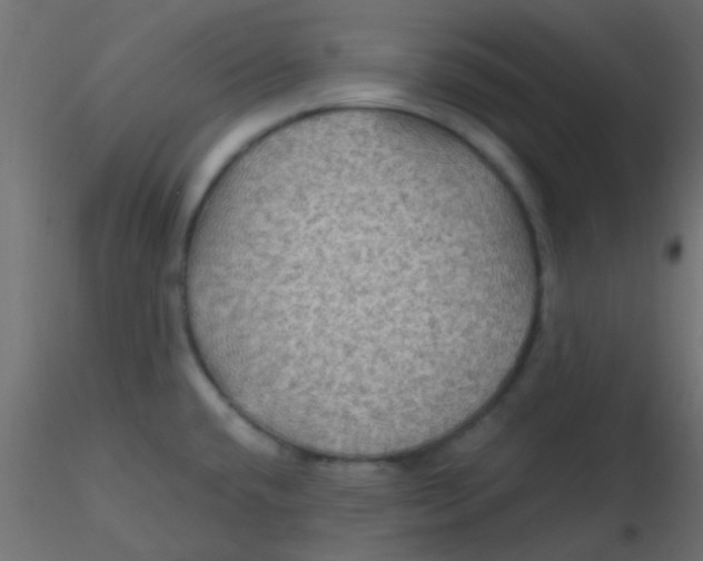 X0000116591432200912312027