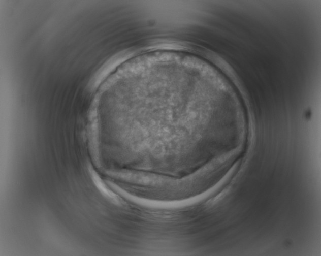 X0000116591433200912312027