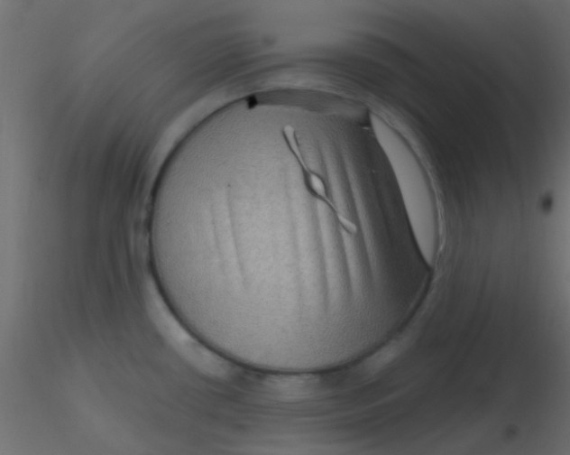 X0000116591434200912312027