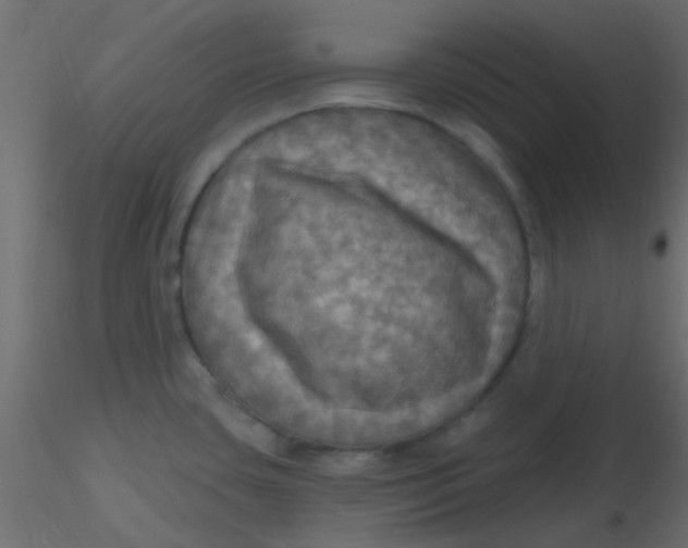 X0000116591435200912312027