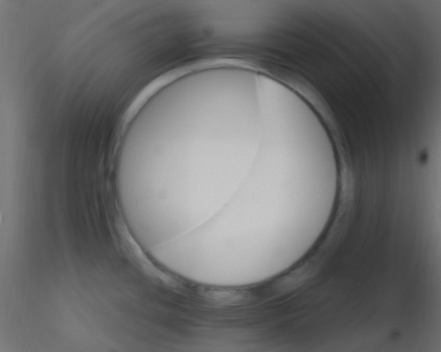 X0000116591436200912312027