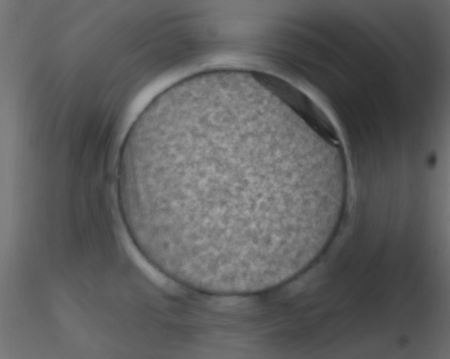 X0000116591437200912312027