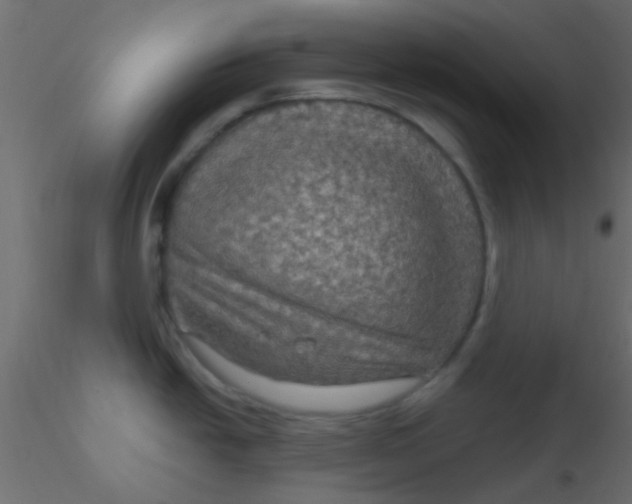 X0000116591438200912312027