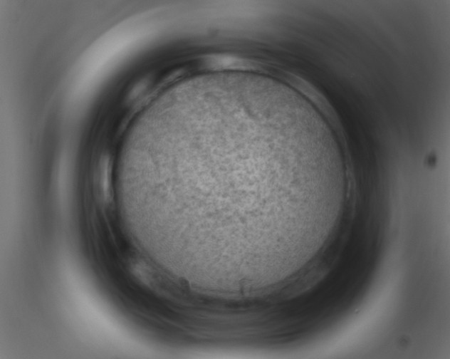 X0000116591439200912312027