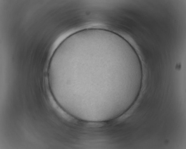 X0000116591440200912312027