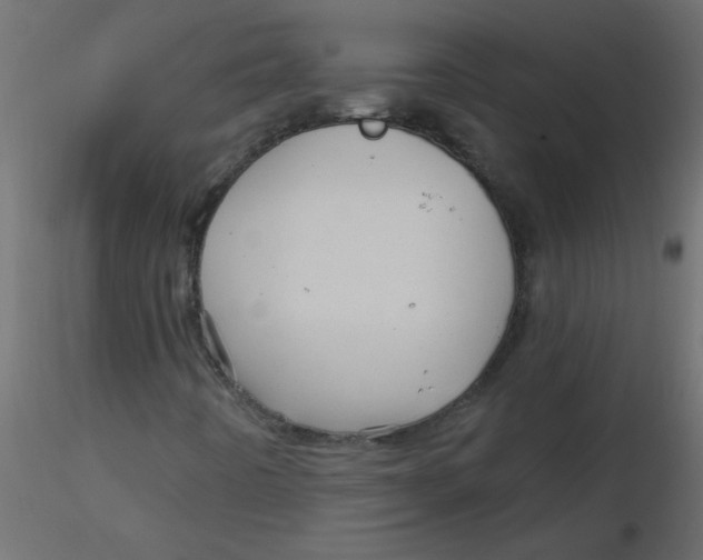 X0000116591442200912312026