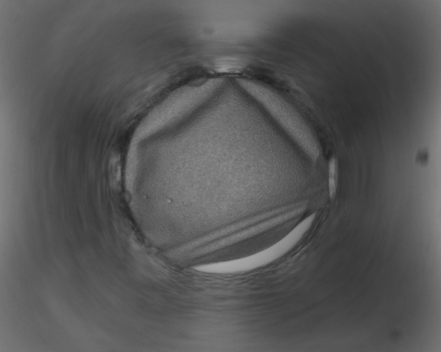 X0000116591443200912312026