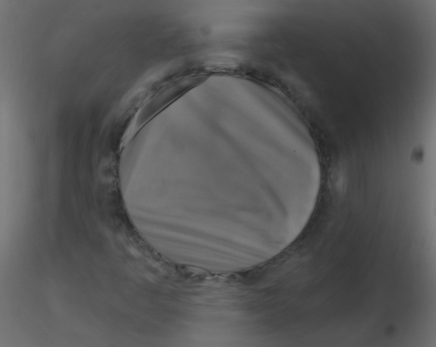 X0000116591445200912312026