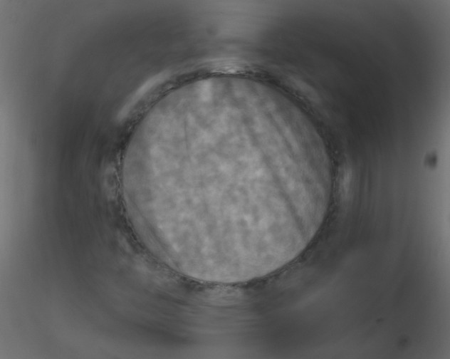 X0000116591446200912312026