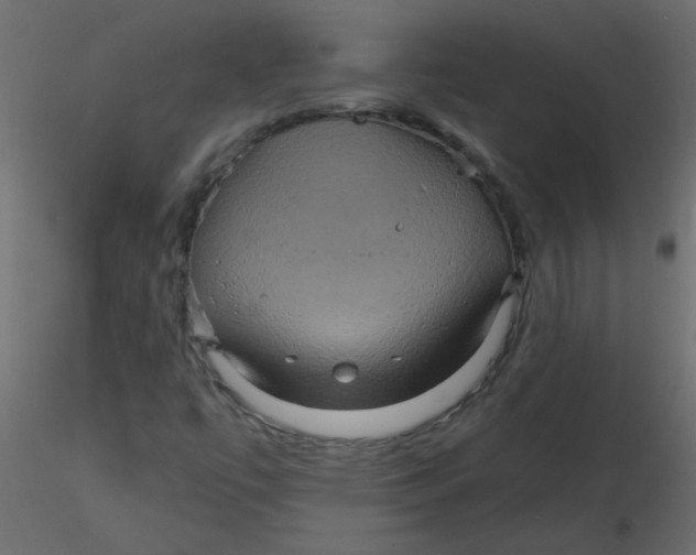 X0000116591447200912312026