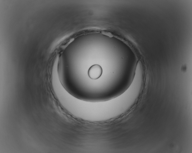 X0000116591448200912312026