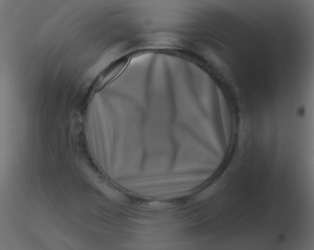 X0000116591449200912312026