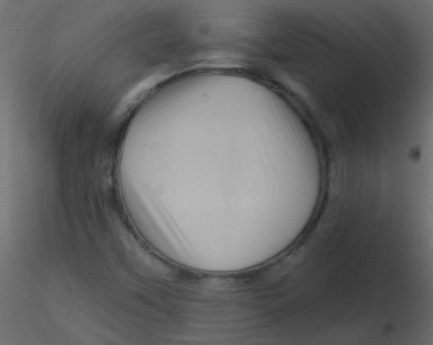 X0000116591451200912312026