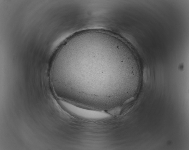 X0000116591452200912312026