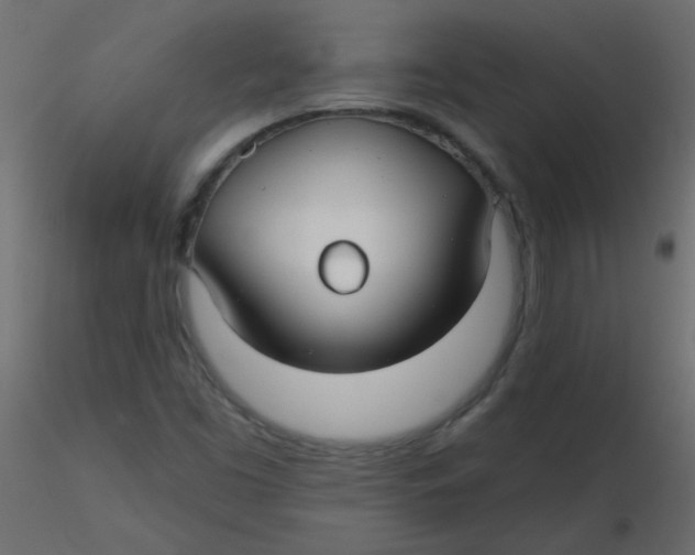 X0000116591453200912312026