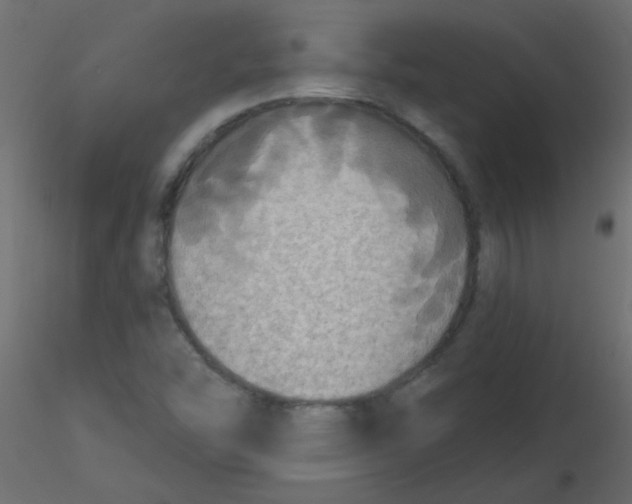 X0000116591454200912312026